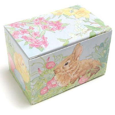 1/2 lb Easter Egg Bunny Box