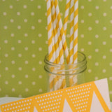 Yellow Striped Paper Straws with Flags
