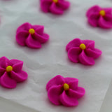 Fushia Pink Drop Flowers