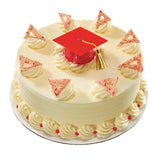 Red Graduation Cap and Diploma