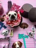 Dog Lover Birthday Cupcake Kit