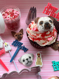 Dog Lover Birthday Cupcake Kit