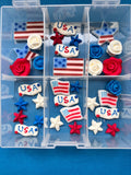 Celebrate America Icing Set