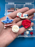 Celebrate America Icing Set