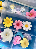 Beautiful Edible Icing Flowers Set with Case