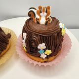 Woodland Animals Edible Sugar Piece Set with Case