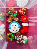 It’s Christmas Time Royal Icing Pieces Case