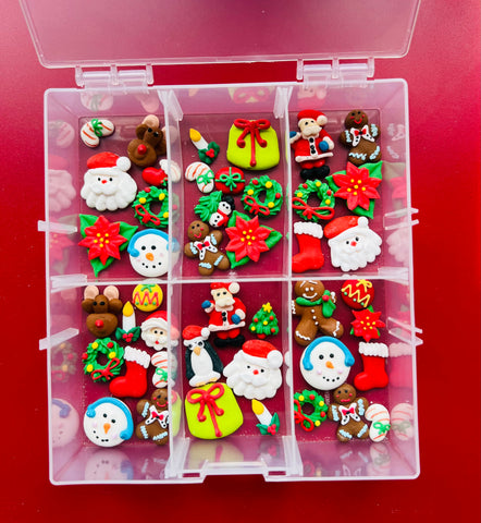 It’s Christmas Time Royal Icing Pieces Case